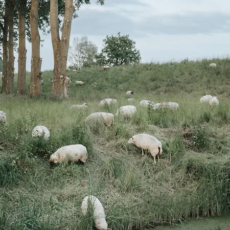 Pan Boetiek Oda ve Kahvaltı